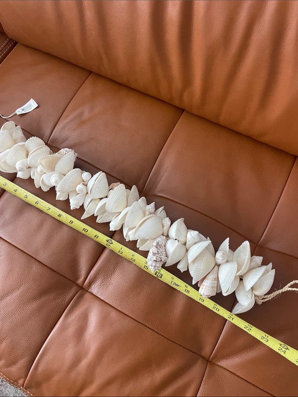 Shell Decor Strand - Picture 6 of 7